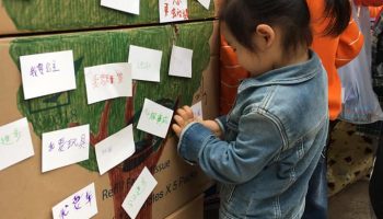 55589266_795207427527220_4433246095966994432_n